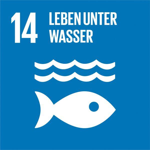 SDG Icon Leben unter Wasser