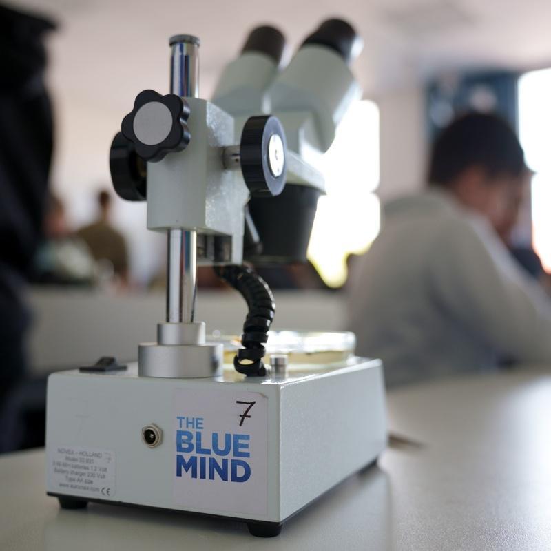 Mikroskop von The Blue Mind