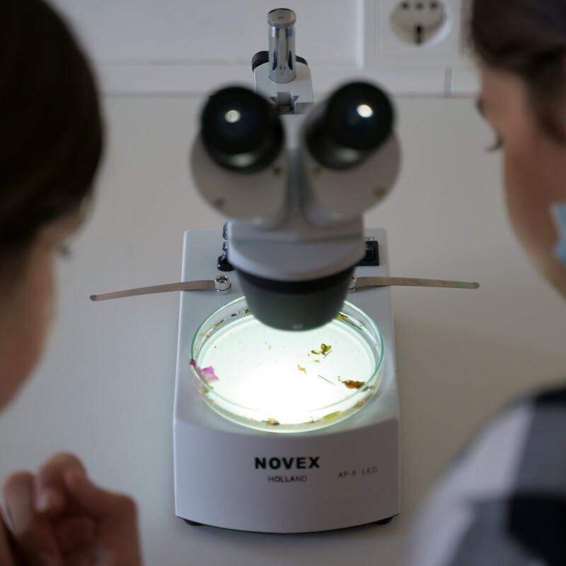 Zwei Schüler an einem Mikroskop von The Blue Mind