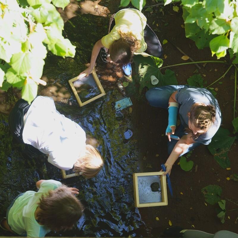 Schüler nehmen Gewässerproben aus einem Bach