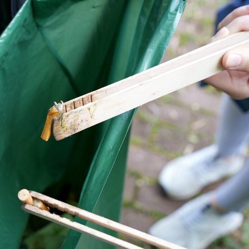 Schüler sammeln Zigarettenstummel aus einem Bach